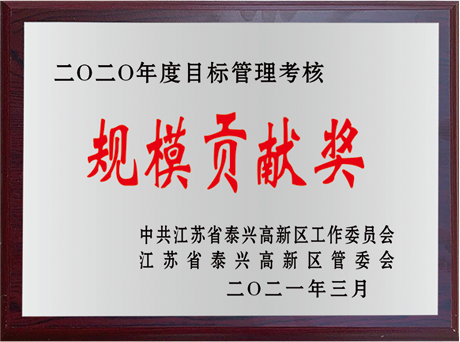 规模贡献奖