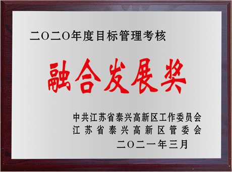 融合发展奖